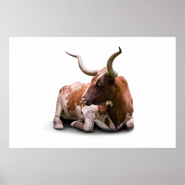 Texas Longhorn Poster Print (Vorne)