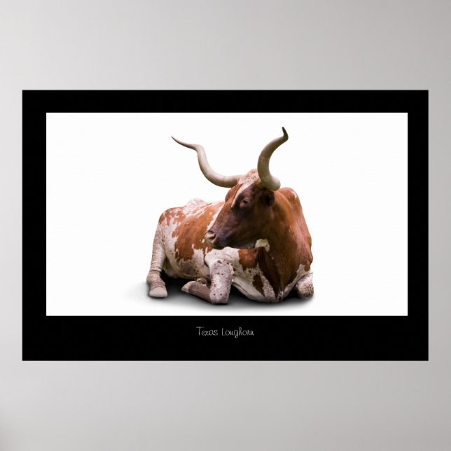Texas Longhorn Poster Print (Vorne)