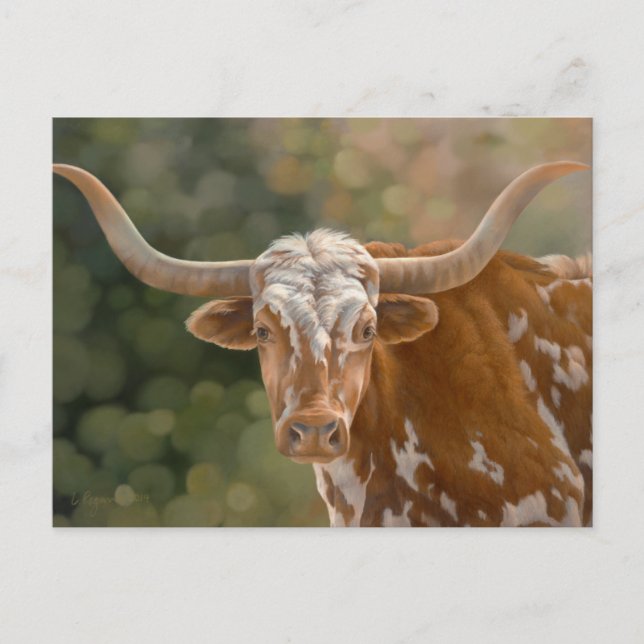 Texas Longhorn Postkarte (Vorderseite)