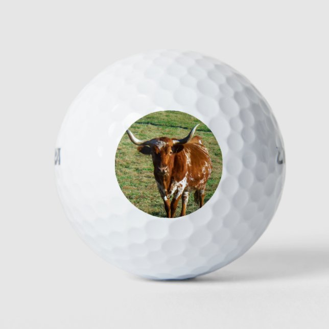 Texas Longhorn Rind Kuh Foto Rustikal Golfball (Vorderseite)
