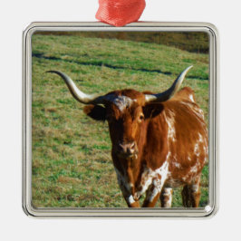 Texas Longhorn Rind Kuh Foto Rustikal Ornament Aus Metall