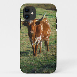 Texas Longhorn Rinderkuh Foto Rustikal Case-Mate iPhone Hülle