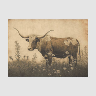 Texas Longhorn Seidenpapier