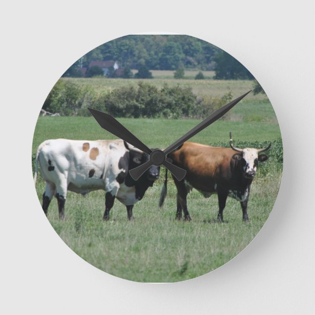 Texas Longhorn Steer Runde Wanduhr (Vorderseite)