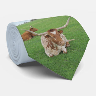 Texas Longhorn steuern im Felddruck auf Necktie Krawatte