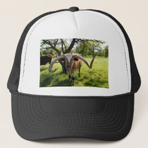 Texas Longhorn Stier Truckerkappe