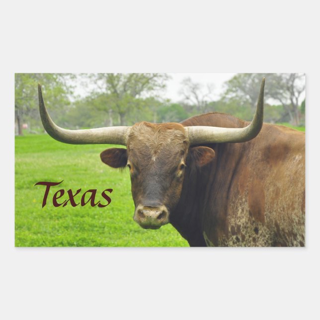 Texas Longhorn "Texas" Aufkleber (Vorderseite)