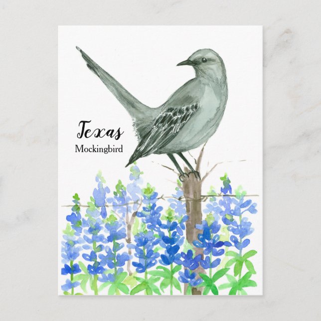 Texas Mockingbird Bluebonnet Wasserfarbe Postkarte (Vorderseite)