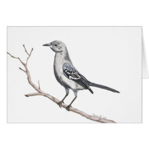 Texas Mockingbird Inspiration Small Card