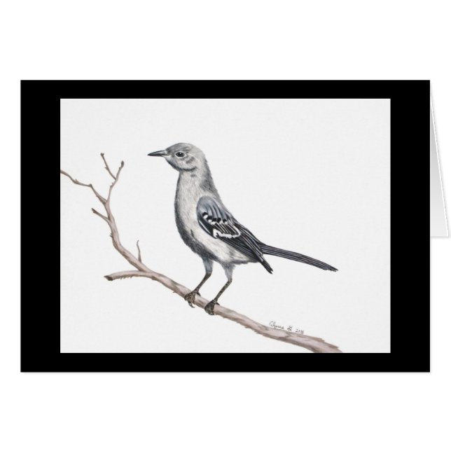 Texas Mockingbird Small Card (Vorderseite (Horizontal))