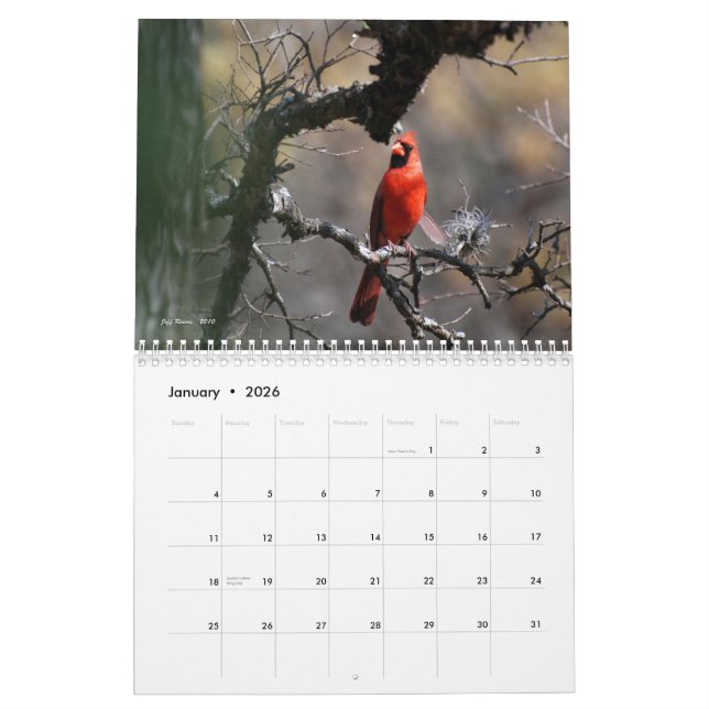 Texas natürliche Schönheit 2011 Kalender (Jan 2026)