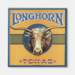Texas-Ochse Longhorn Magnet