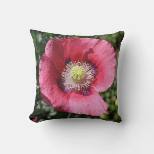 Texas Pink Skullcap Pillow Kissen