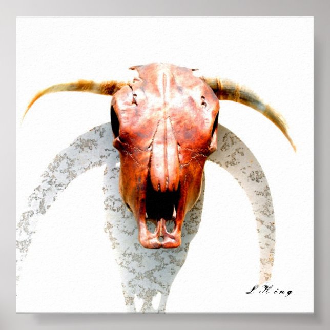 Texas Poster (Vorne)