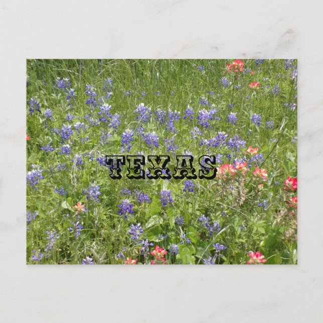 TEXAS Postkarte (Vorderseite)