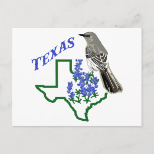 Texas Postkarte