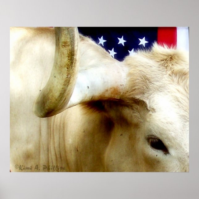 Texas Proud Poster (Vorne)