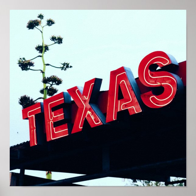 Texas Red Neon Lights USA Poster (Vorne)