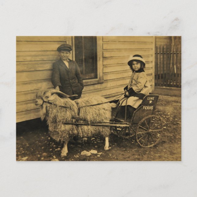 Texas Ride Postkarte (Vorderseite)