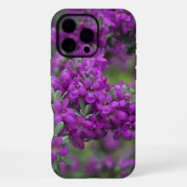 Texas Sage Iphone Case Hülle (Rückseite)