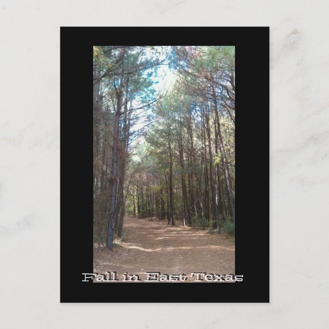 Texas Series Postkarte (Vorderseite)