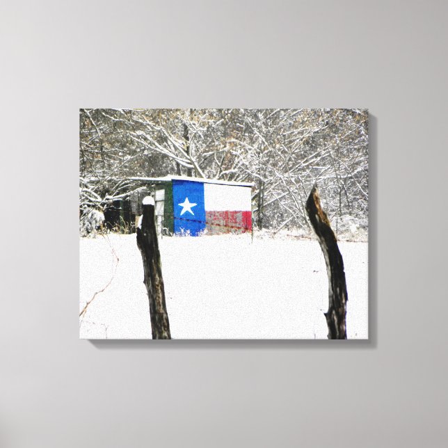 Texas Snow Leinwanddruck (Vorderseite)