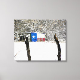 Texas Snow Leinwanddruck