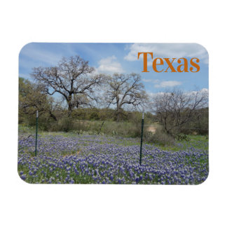 Texas Staat Blumen Bluebonnets Magnet
