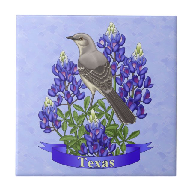 Texas Staat Mockingbird & Bluebonnet Blume Fliese (Vorderseite)