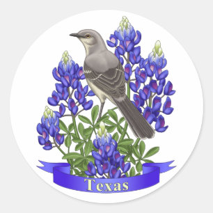 Texas Staat Mockingbird & Bluebonnet Blume Runder Aufkleber
