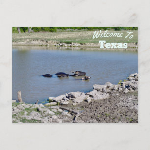 Texas Staat Postkarte