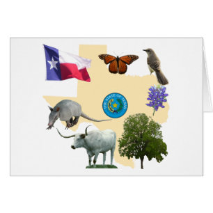 Texas Staat Symbole