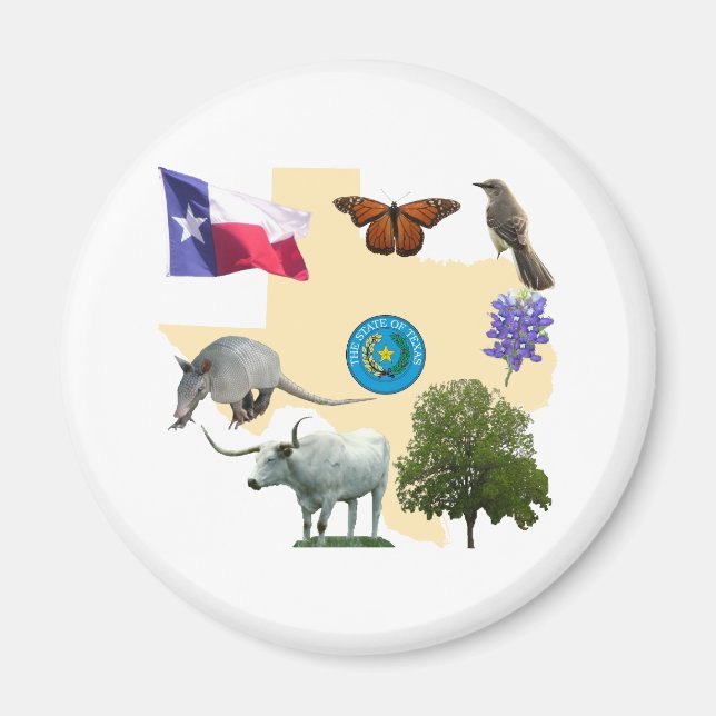 Texas Staat Symbole Magnet (Vorne)