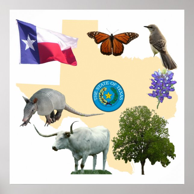 Texas Staat Symbole Poster (Vorne)