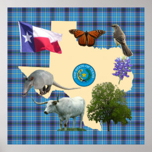Texas Staat Symbole Poster