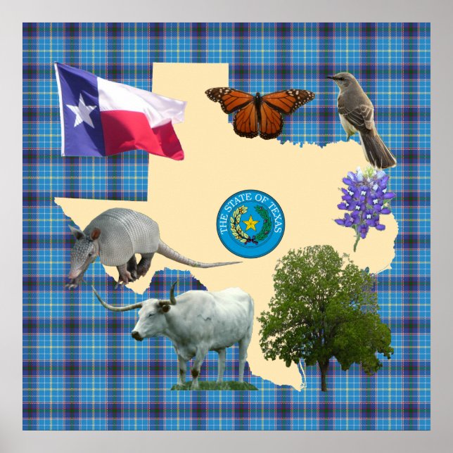 Texas Staat Symbole Poster (Vorne)