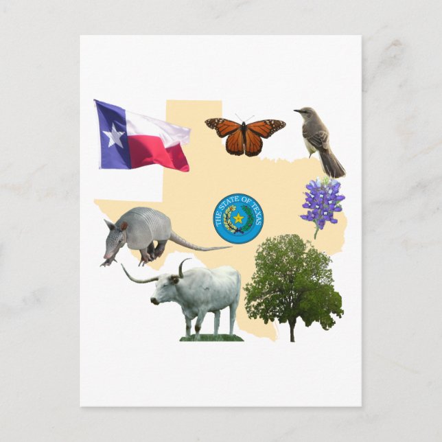 Texas Staat Symbole Postkarte (Vorderseite)
