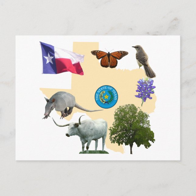 Texas Staat Symbole Postkarte (Vorderseite)