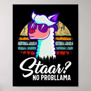 Texas Staat Test Day Llama Alpaca für Studenten Poster