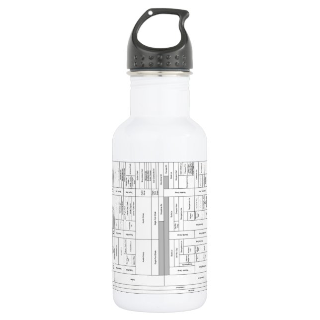 Texas Stratigraphic Chart Water Bottle Edelstahlflasche (Vorderseite)
