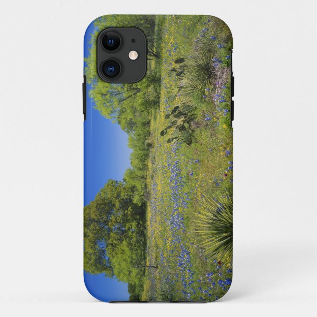 Texas, Texas Hill Country, Low bladderpod, Case-Mate iPhone Hülle (Rückseite)