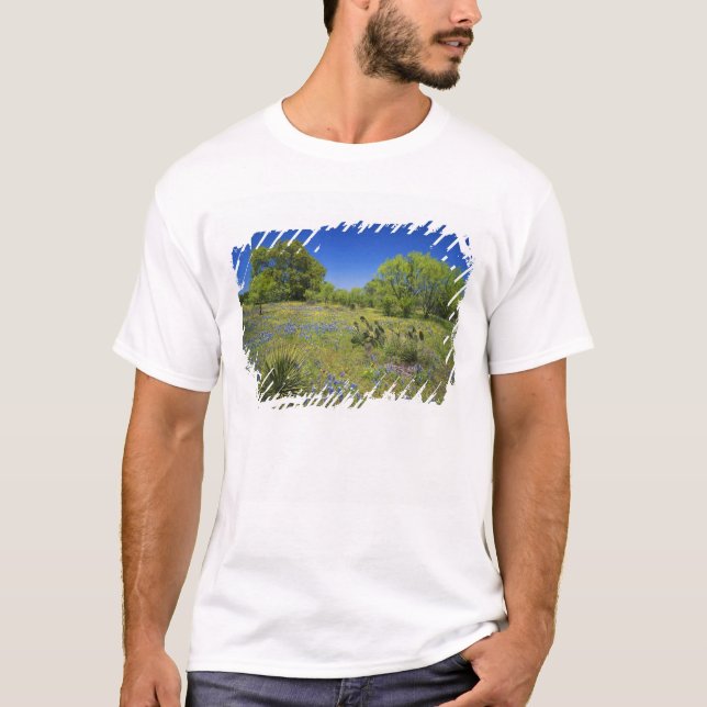 Texas, Texas Hill Country, Low bladderpod, T-Shirt (Vorderseite)