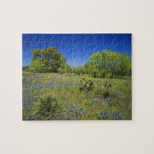 Texas, Texas Hill Country, Niedrige Blasenfrucht, Puzzle