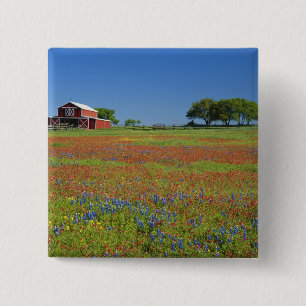 Texas, Texas Hill Country, Texas-Malerpinsel Button