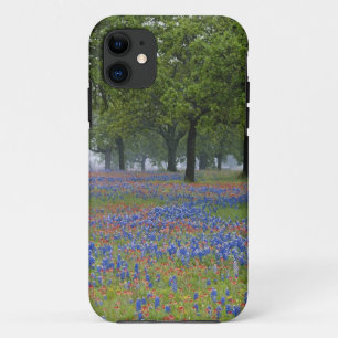 Texas, Texas Hill Country, Texas-Pinsel und iPhone 11 Hülle