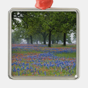 Texas, Texas Hill Country, Texas-Pinsel und Ornament Aus Metall
