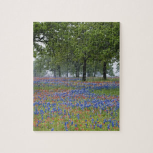 Texas, Texas Hill Country, Texas-Pinsel und Puzzle