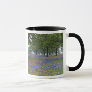 Texas, Texas Hill Country, Texas-Pinsel und Tasse