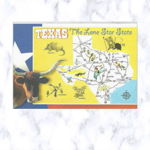 Texas Vintag Lone Star Staat Postcard Postkarte
