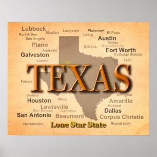 Texas Vintag Map Poster